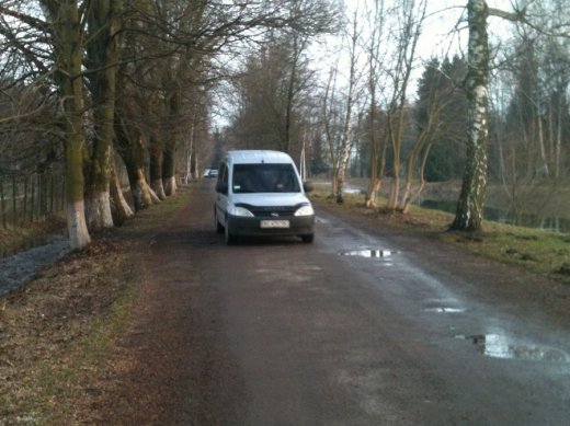 Як дбають про чисте повітря у парку Лесі Українки
